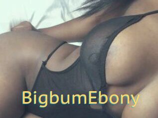 BigbumEbony