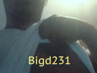 Bigd231