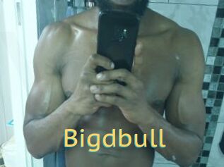 Bigdbull