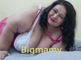 Bigmamy