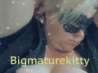 Bigmaturekitty