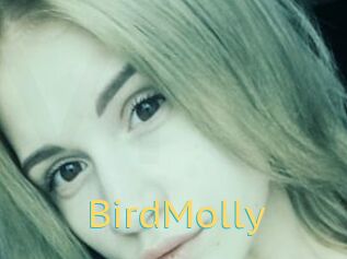 BirdMolly
