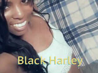 Black_Harley