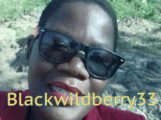 Blackwildberry33