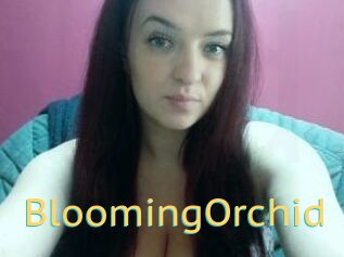 BloomingOrchid