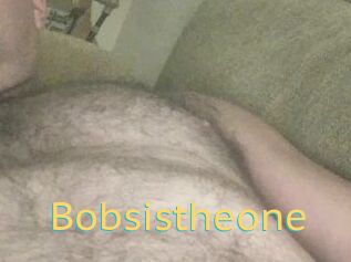 Bobsistheone