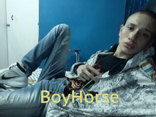 BoyHorse