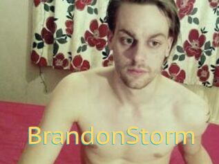 BrandonStorm