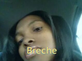Breche