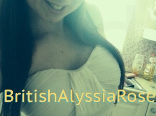 BritishAlyssiaRose