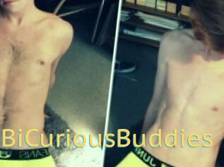 BrokeBiCuriousBuddies