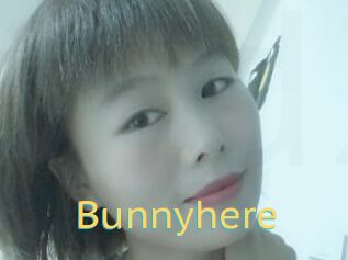 Bunnyhere