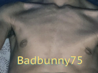 Badbunny75