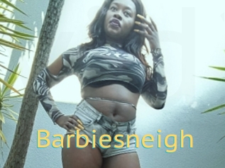 Barbiesneigh