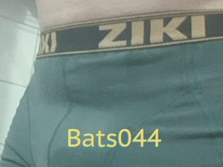 Bats044