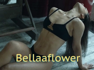 Bellaaflower