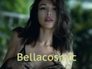 Bellacosmic