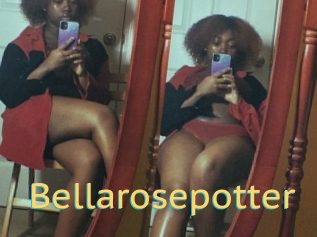 Bellarosepotter