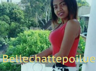 Bellechattepoilue