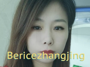 Bericezhangjing