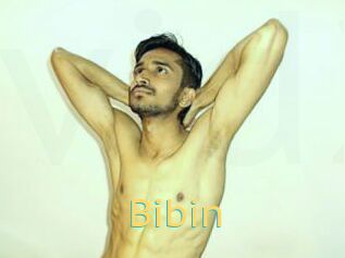 Bibin