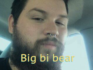 Big_bi_bear