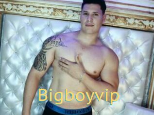 Bigboyvip