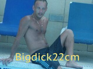 Bigdick22cm