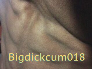 Bigdickcum018