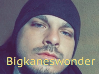 Bigkaneswonder