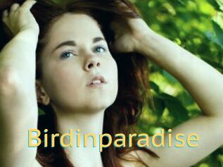 Birdinparadise