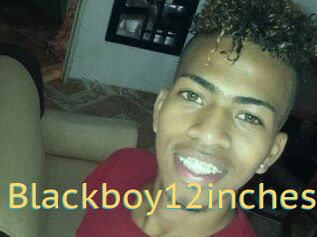 Blackboy12inches