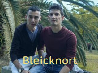 Bleicknort