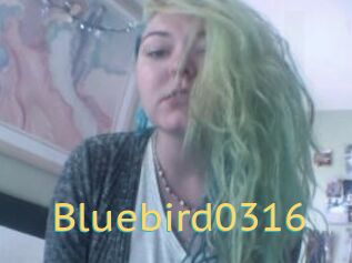 Bluebird0316
