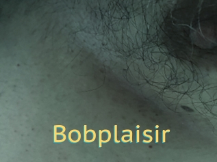 Bobplaisir