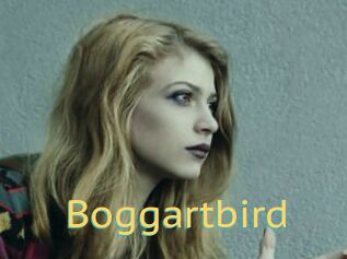 Boggartbird