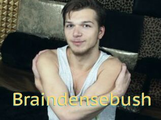 Braindensebush