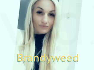 Brandyweed