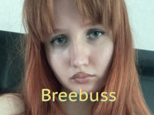 Breebuss