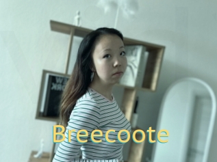 Breecoote