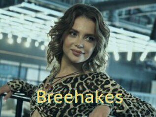 Breehakes