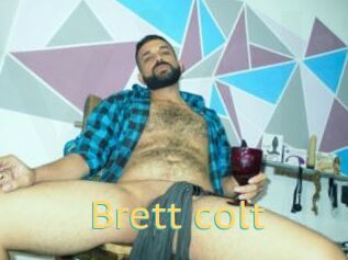 Brett_colt
