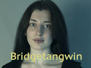 Bridgetangwin