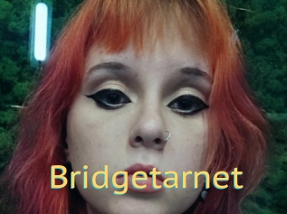 Bridgetarnet