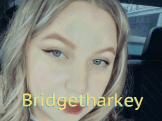 Bridgetharkey