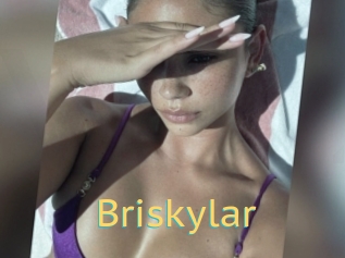 Briskylar