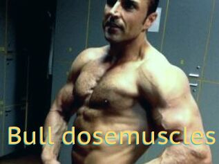 Bull_dosemuscles