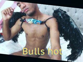 Bulls_hot