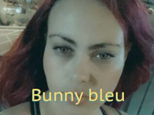 Bunny_bleu