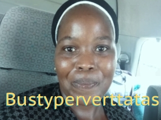 Bustyperverttatas
